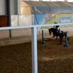 Соревнование по конкуру в КСК ИППО (Рио-Рита, английская чистокровная кобыла)